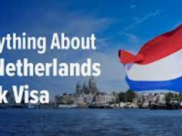 Jobs in Netherlands with Visa Sponsorship